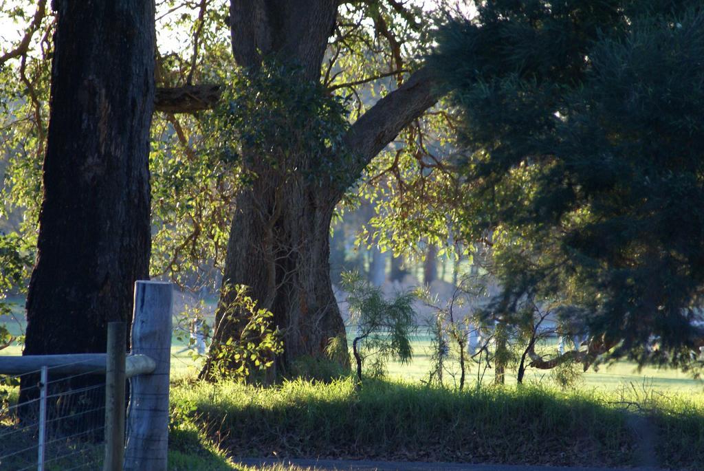 Ellensbrook Cottages Cowaramup Kültér fotó