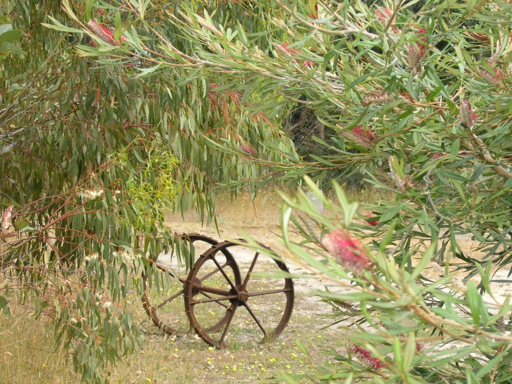 Ellensbrook Cottages Cowaramup Kültér fotó